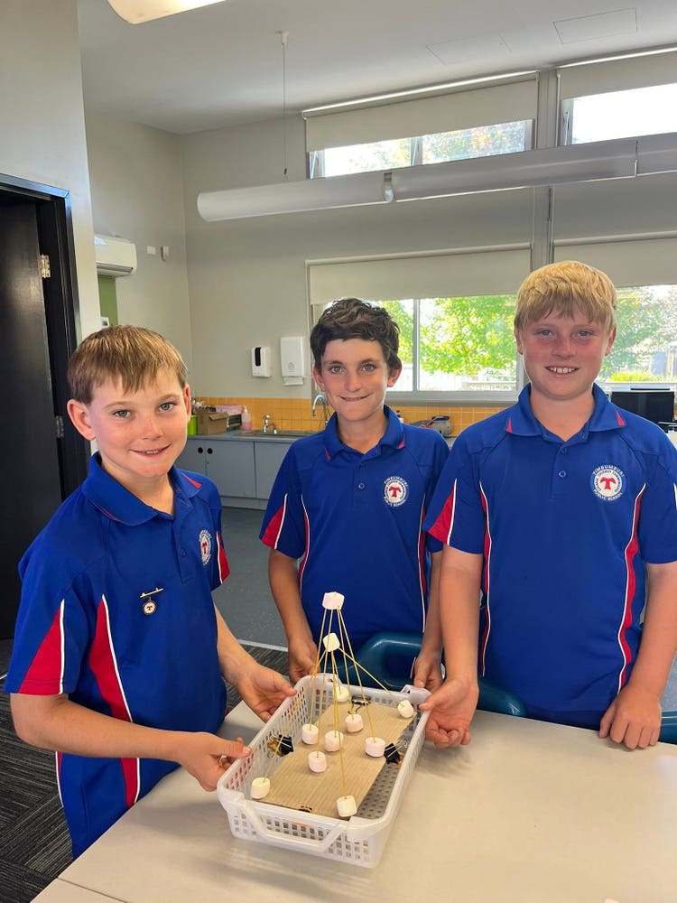 Students collaborate on hands-on experiments in a science lab, working together with scientific materials.
