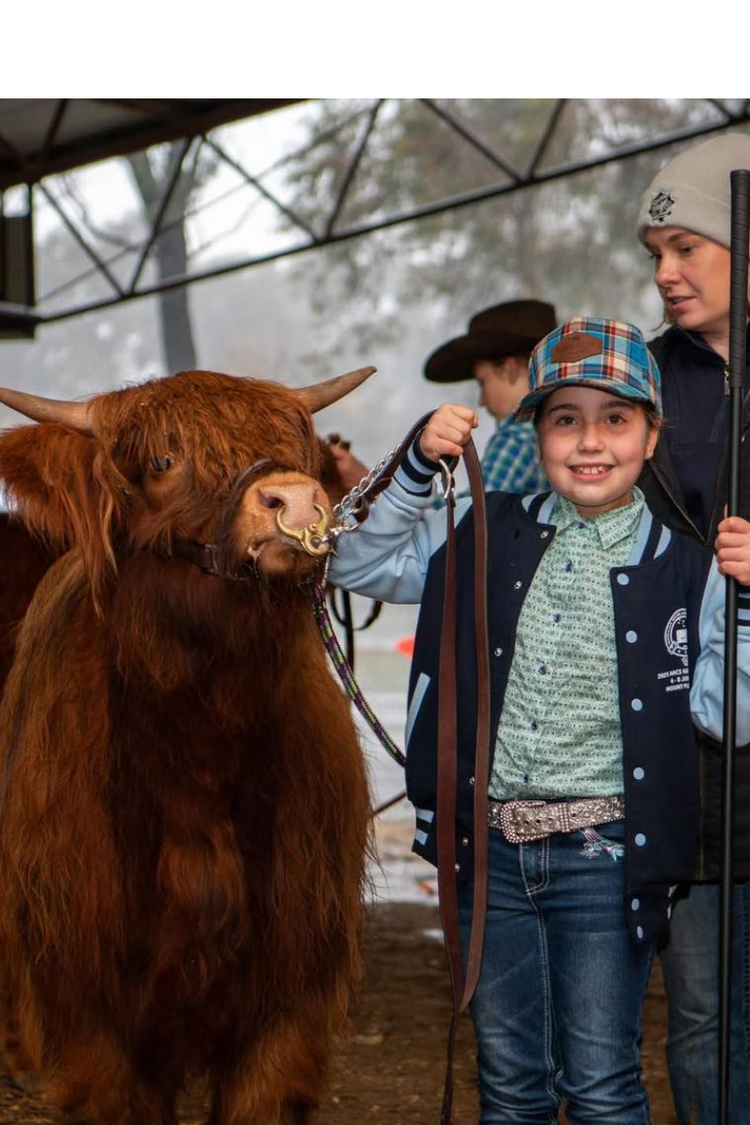 A student is standing beside a large, shaggy brown cow, holding its lead at an agricultural event, dressed in western-style clothing with a hat and jacket.